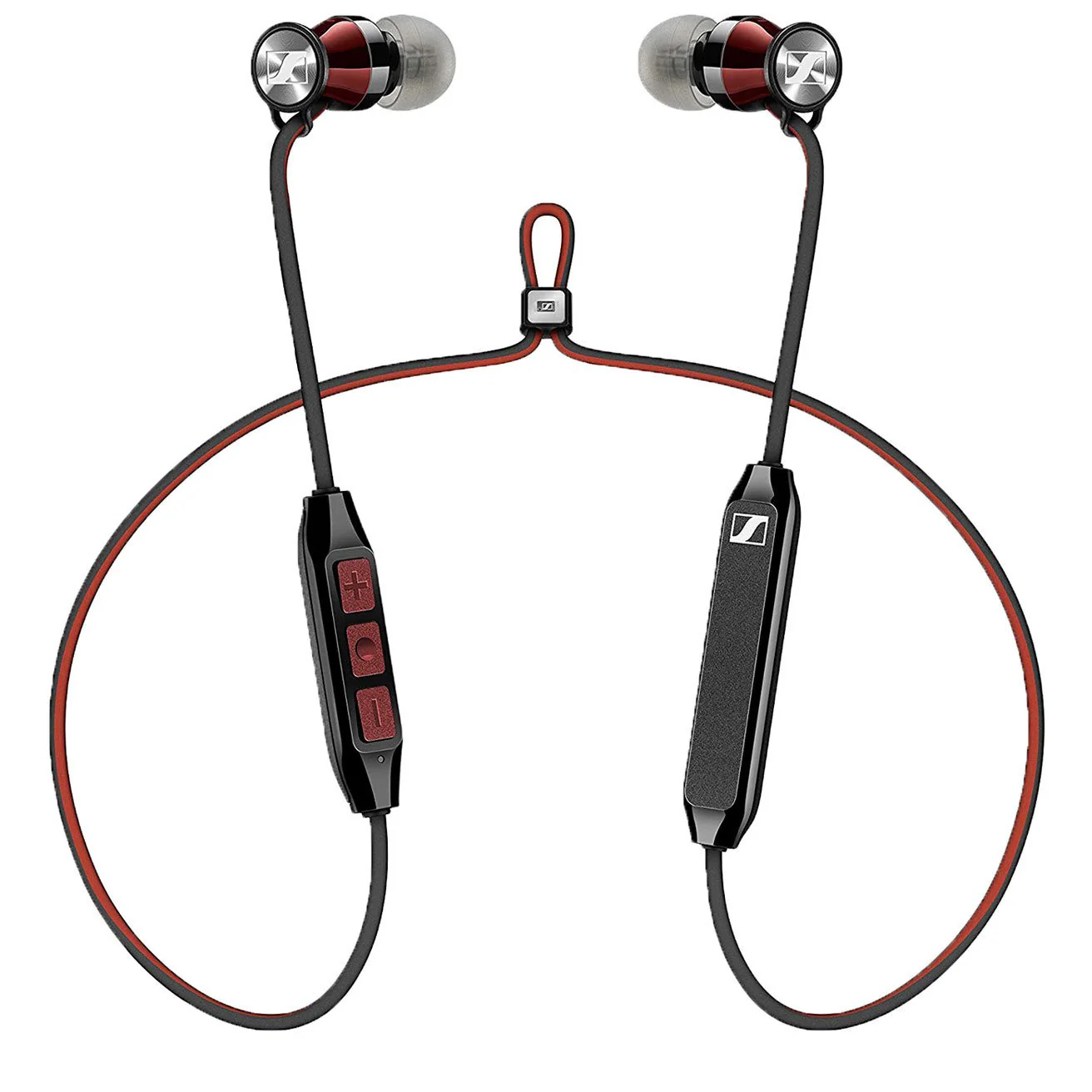 MOMENTUM Free Special Edition