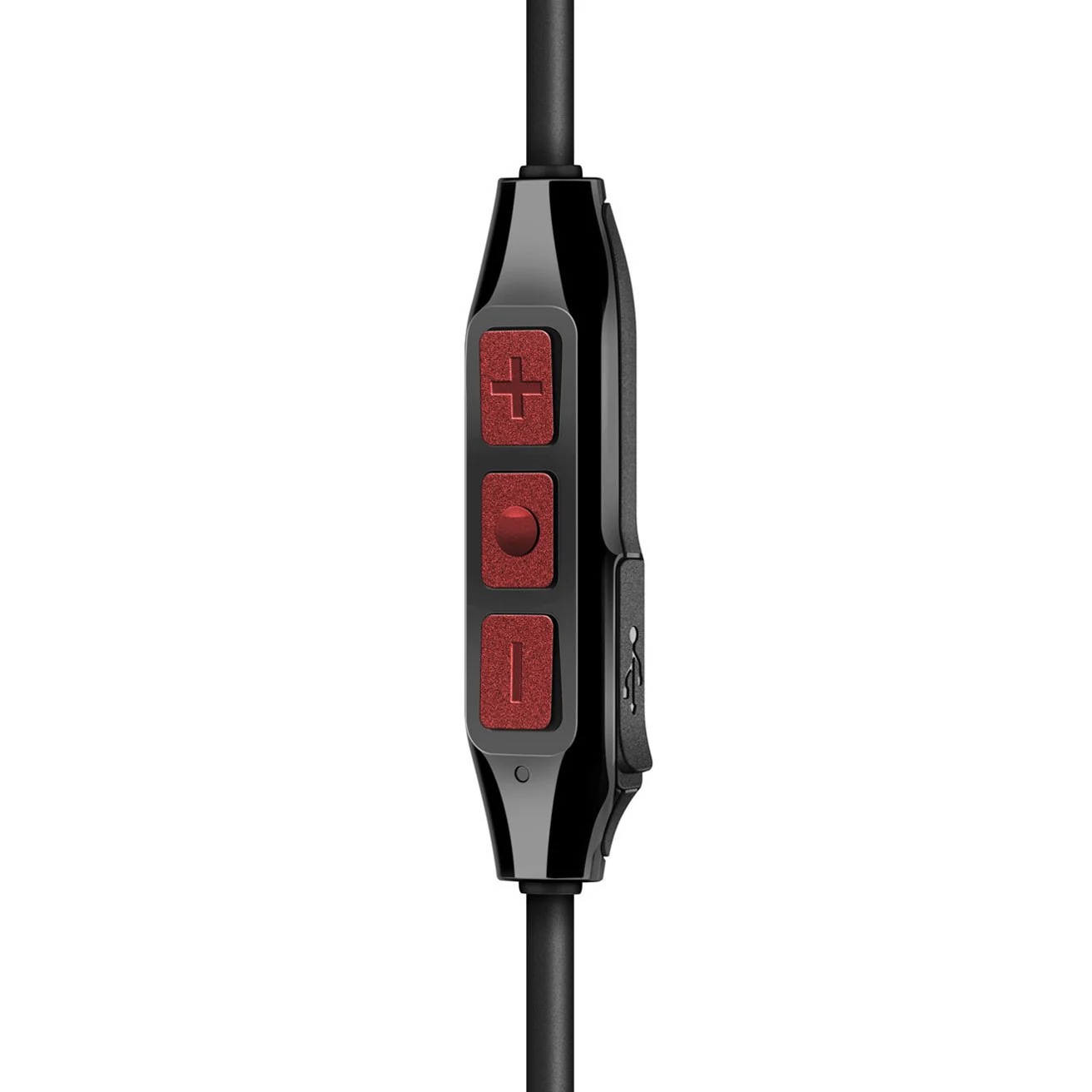 MOMENTUM Free Special Edition